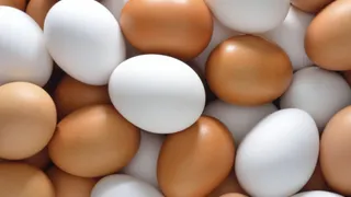 Yumurtada fiyat artışını önleyecek düzenleme