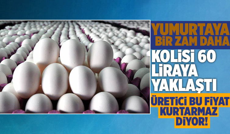 Yumurtaya bir zam daha