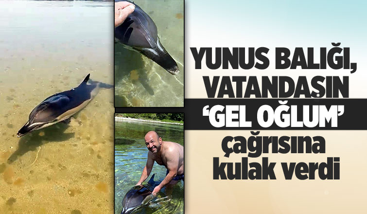 Yunus balığına fısıldayan adam