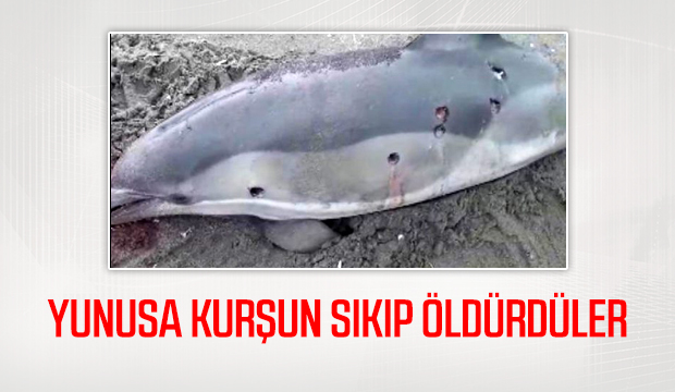 Yunusa kurşun sıkıp öldürdüler