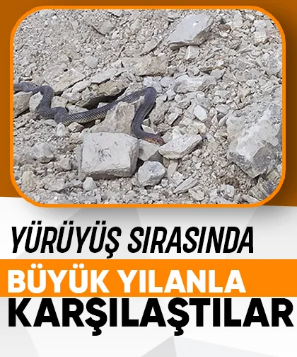 Yürüyüş yaparken karşılarına çıktı; 2 metrelik yılan