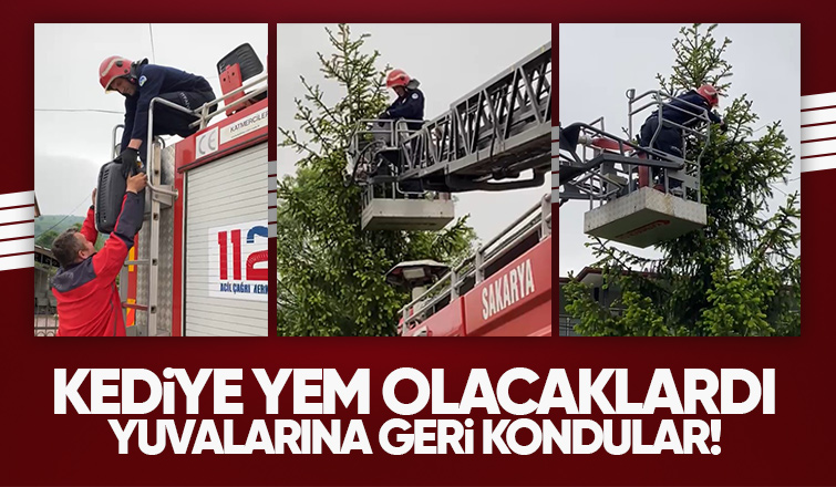 Yuvadan düşen karga yavrularının imdadına itfaiye yetişti