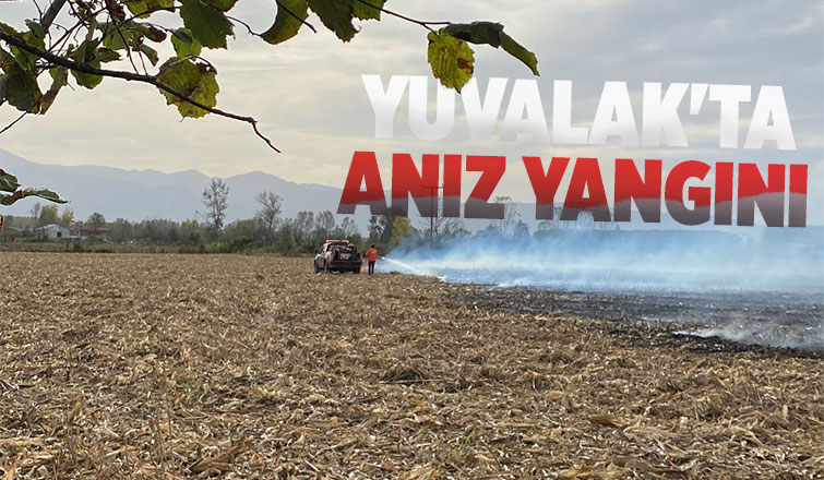 Yuvalak'ta anız yangını