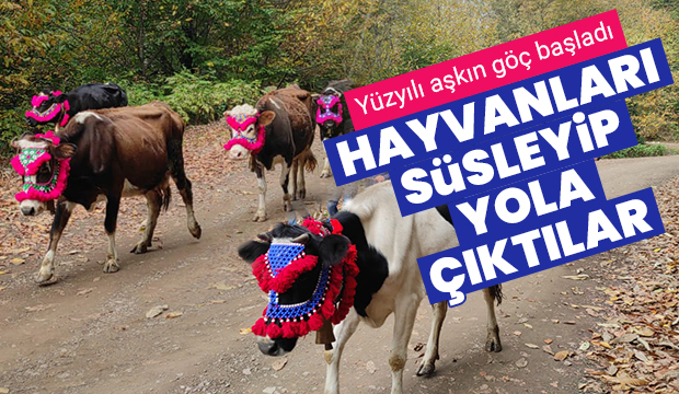 Yüzyılı aşan yayla göçü bu yıl erken başladı