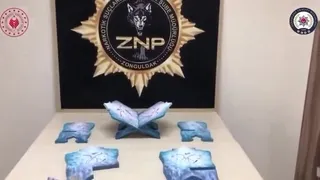 Zehir tacirlerine baskın
