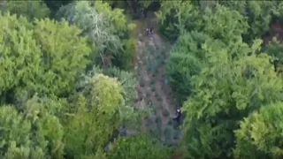 Zehir tacirlerine jandarma tokadı