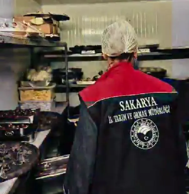 Zehirlenme vakaları sonrası Sakarya alarmda: Gıda denetimleri sıkılaştırıldı
