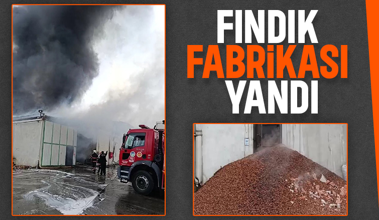 Karasu'da fındık fabrikası alev alev yandı