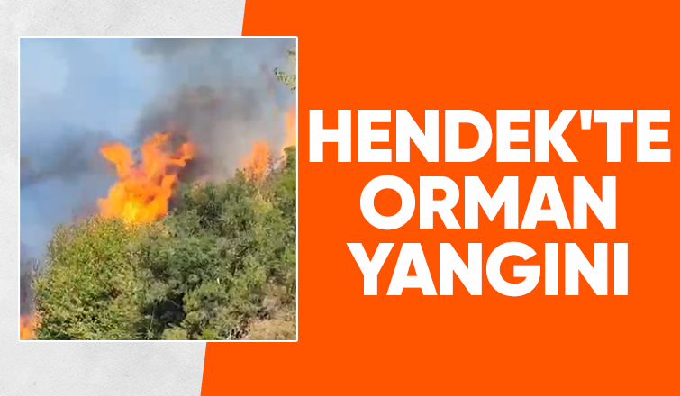 Orman yangını