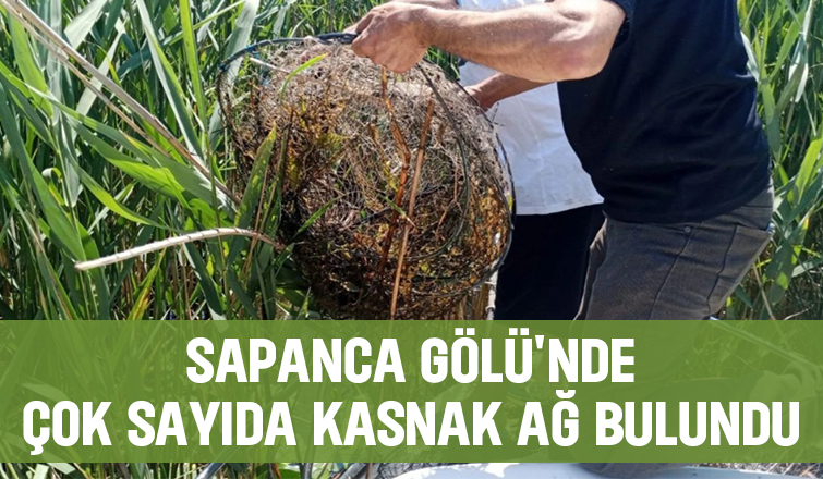 Sapanca Gölü'nde kaçak avcılık operasyonu