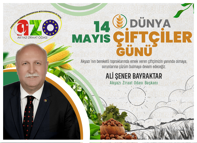 alişener bayraktar