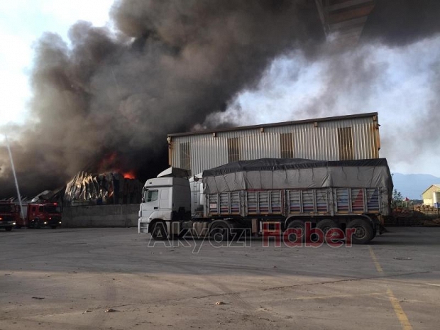 Hendek'te fabrika alev alev yandı