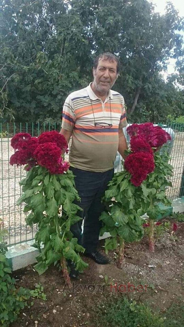Balık tutmak isterken boğuldu