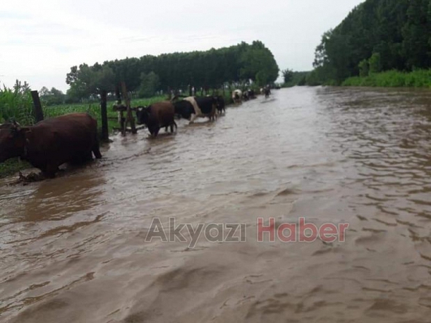 Bu görüntüler Altındereden geldi