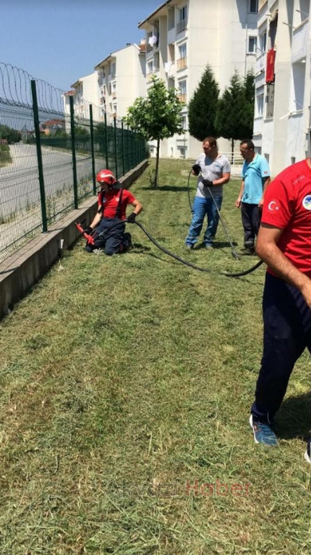 TOKİ konutlarında yılan paniği