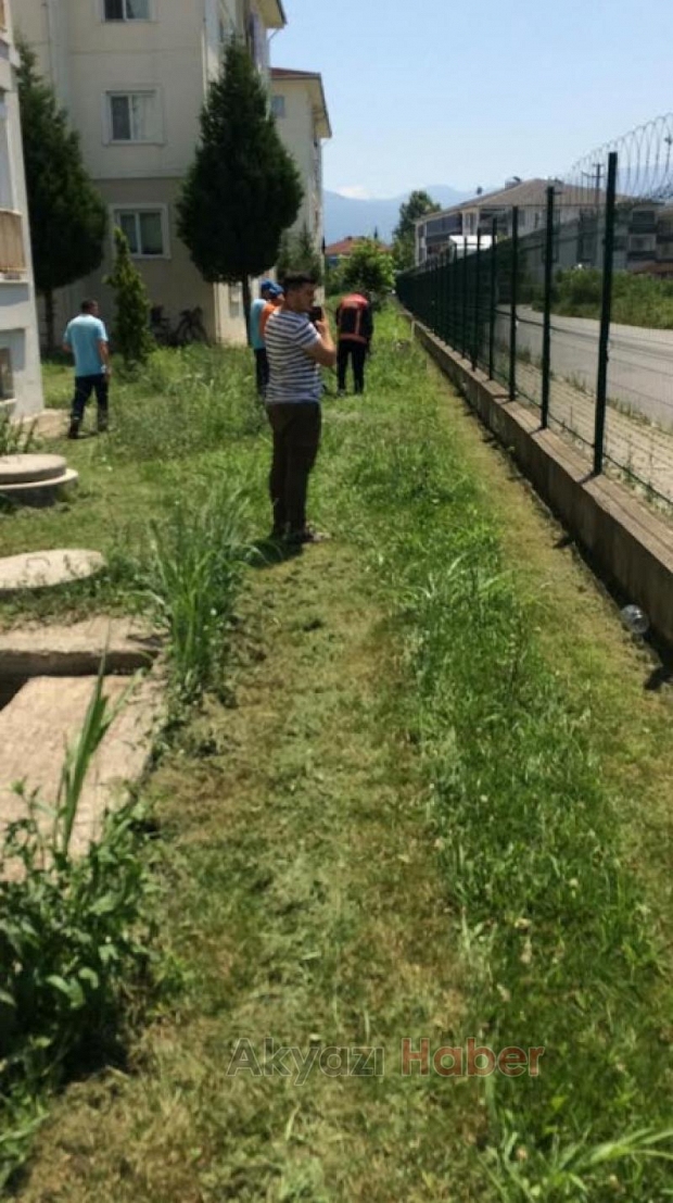 TOKİ konutlarında yılan paniği