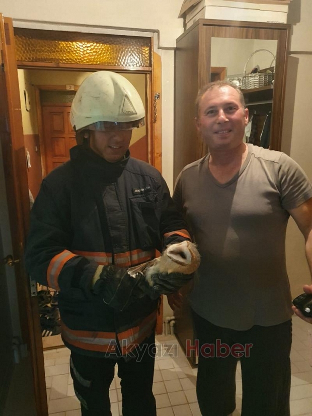 İtfaiyeden baykuş kurtarma operasyonu