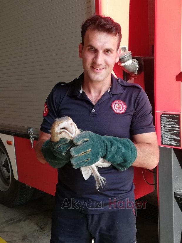 İtfaiyeden baykuş kurtarma operasyonu