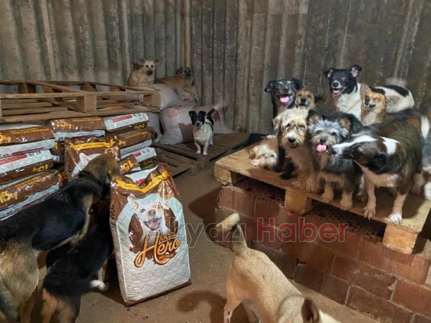 Sokak hayvanları için 200 çuval mama yardımı
