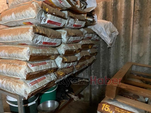 Sokak hayvanları için 200 çuval mama yardımı