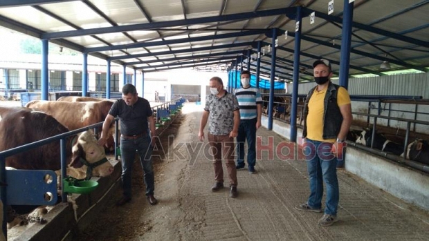 Akyazı'da kurban denetimleri başladı