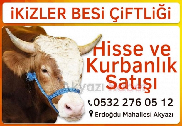 Hisse ve Kurbanlık satışları başladı
