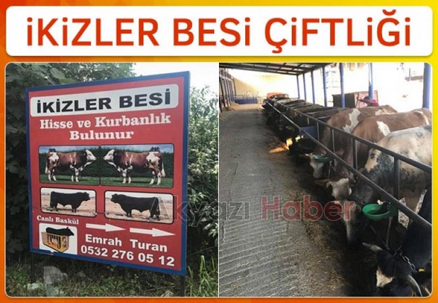 Hisse ve Kurbanlık satışları başladı