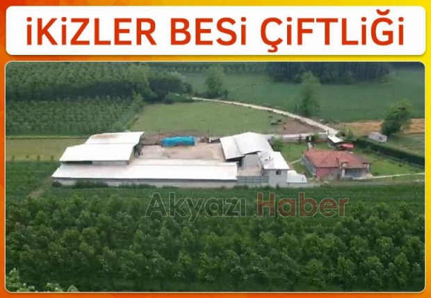 Hisse ve Kurbanlık satışları başladı