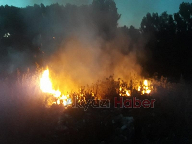 Çözün artık bu sorunu, ilçeyi kokuya boğuyor