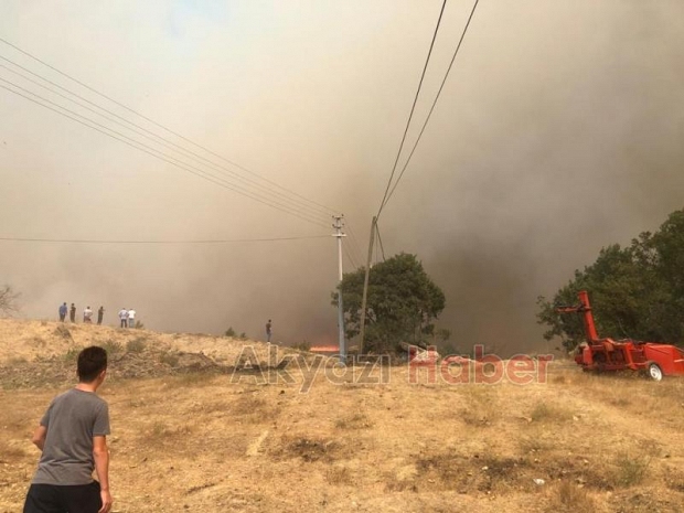 Taraklı'da büyük orman yangını