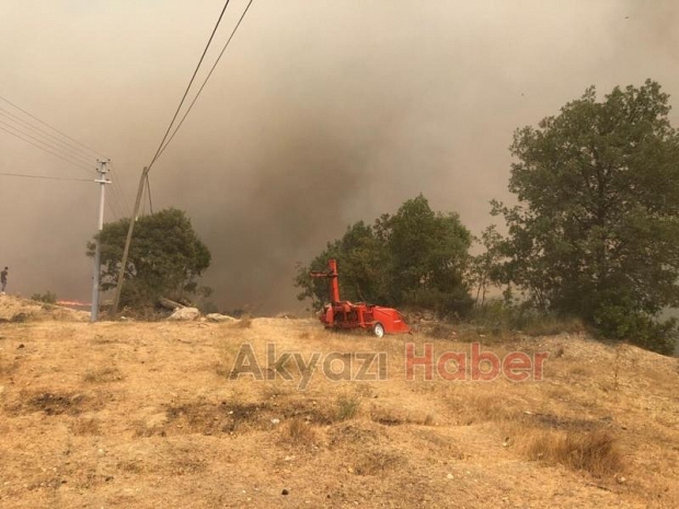 Taraklı'da büyük orman yangını