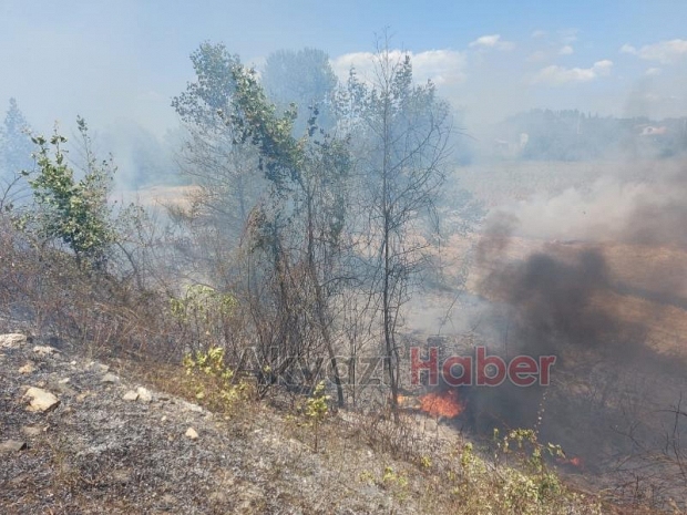 Yangın tarlaya sıçradı, mahsuller kurtarıldı
