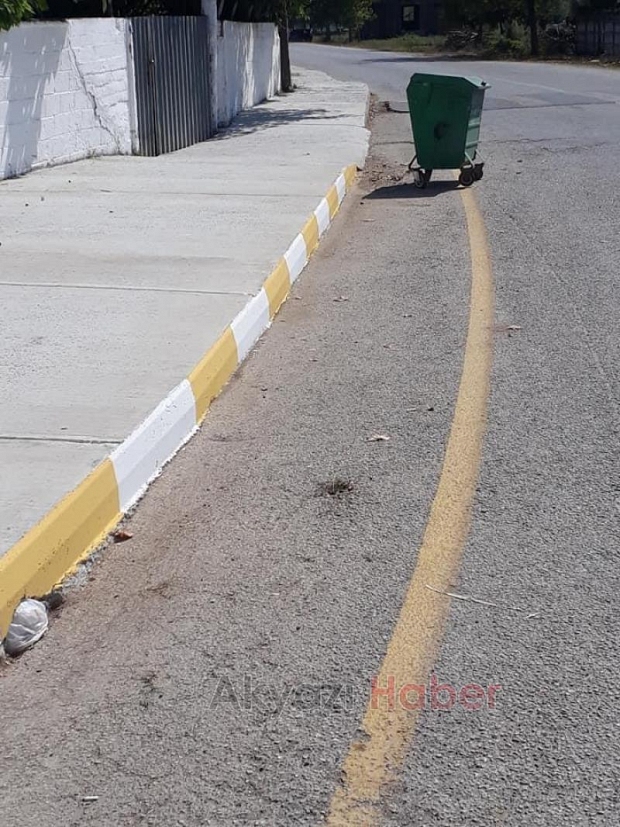 Evinin önündeki kaldırım taşını boyadı