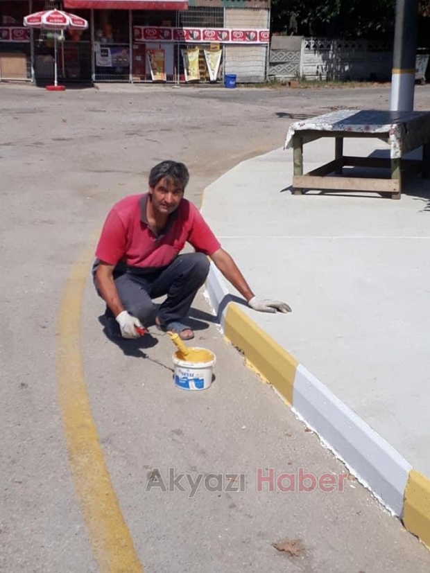 Evinin önündeki kaldırım taşını boyadı