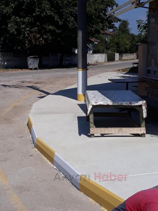 Evinin önündeki kaldırım taşını boyadı