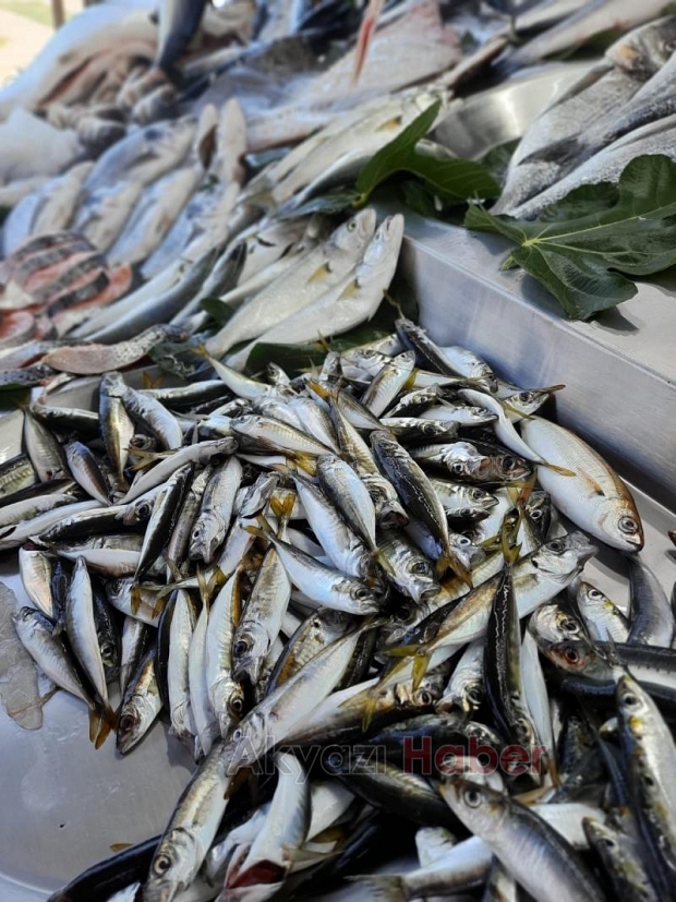 İşte sezonun ilk günü balık fiyatları