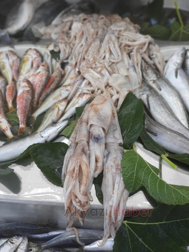 İşte sezonun ilk günü balık fiyatları
