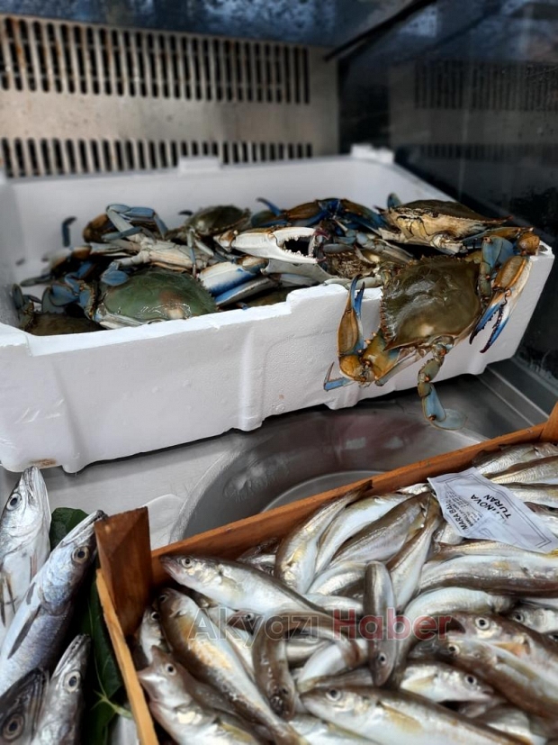 İşte sezonun ilk günü balık fiyatları
