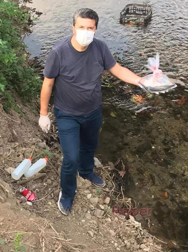 Toplu balık ölümü sonrası dereden numuneler alındı