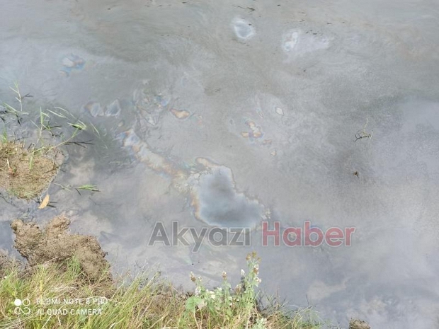 Pikniğe giden Akyazılı aile büyük şok yaşadı