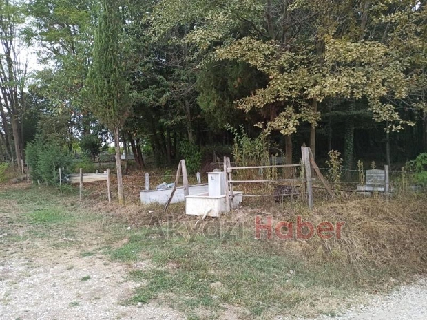 Defineciler mezarlığa dadandı