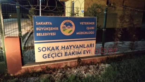 Ölmek üzereyken bulundu