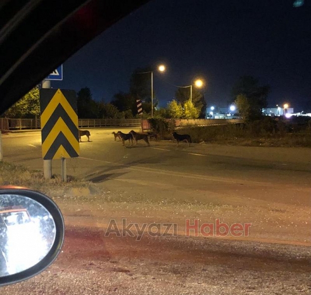 Ölüm kavşağında tehlike saçıyorlar