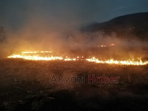 Anız yangınları bezdirdi