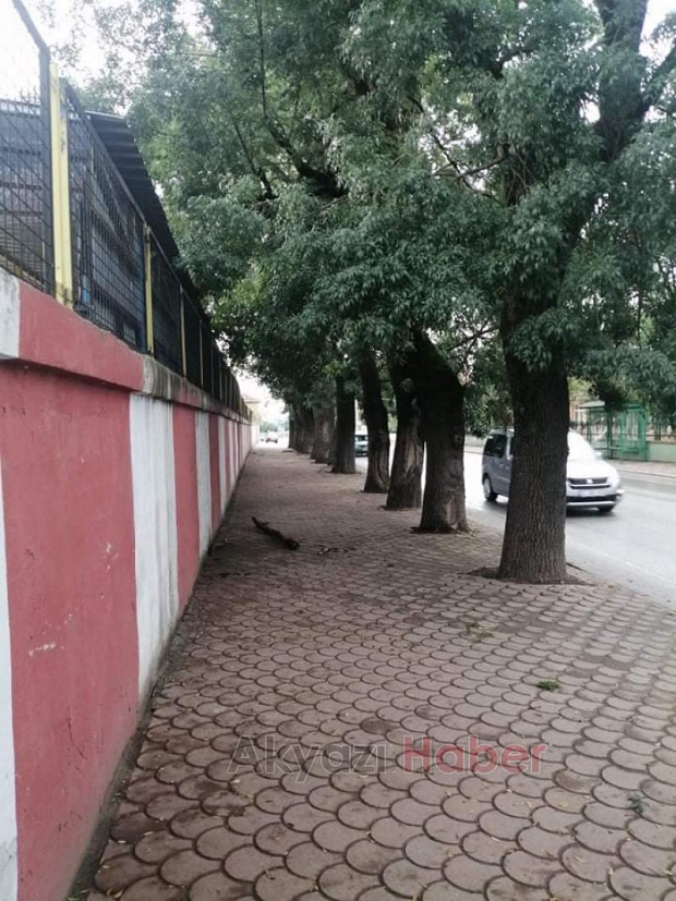 Buradan geçerken dikkat, başınıza düşebilir