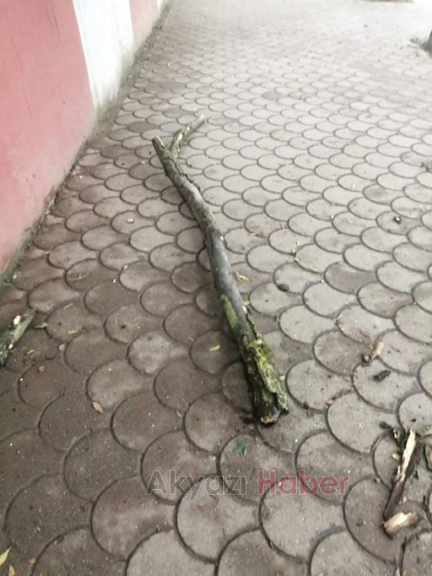 Buradan geçerken dikkat, başınıza düşebilir
