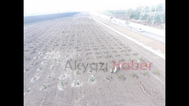 Milli Ağaçlandırma Bayramı töreni Akyazı'da yapıldı