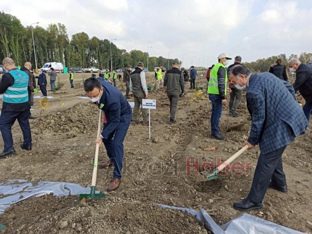 Milli Ağaçlandırma Bayramı töreni Akyazı'da yapıldı