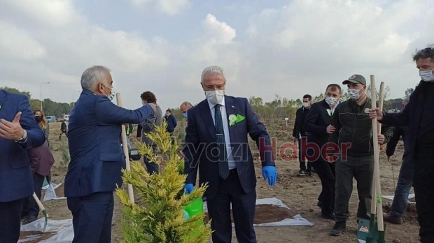 Milli Ağaçlandırma Bayramı töreni Akyazı'da yapıldı