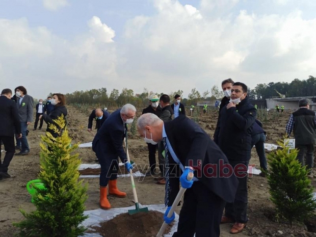 Milli Ağaçlandırma Bayramı töreni Akyazı'da yapıldı